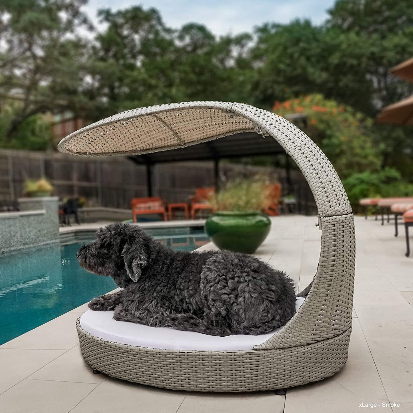 "Premium Outdoor Dog Chaise Bed with Shade Hood - Waterproof Poly Rattan Lounger, Washable Cushion Included, Smoke Grey"