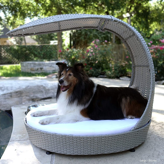 "Premium Outdoor Dog Chaise Bed with Shade Hood - Waterproof Poly Rattan Lounger, Washable Cushion Included, Smoke Grey"